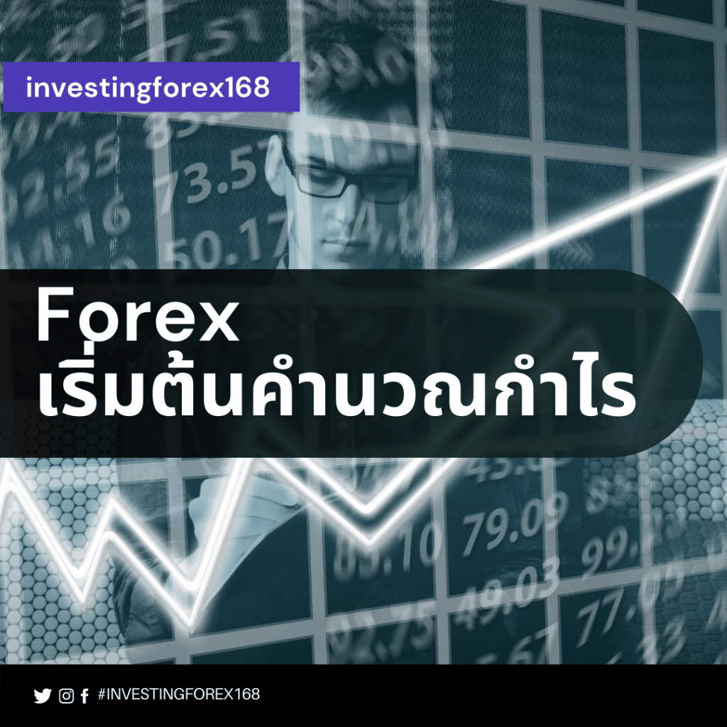 คำนวณกำไร forex excel