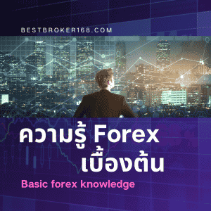 ความรู้ Forex เบื้องต้น / Basic Forex Knowledge