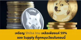 เหรียญ Shiba Inu