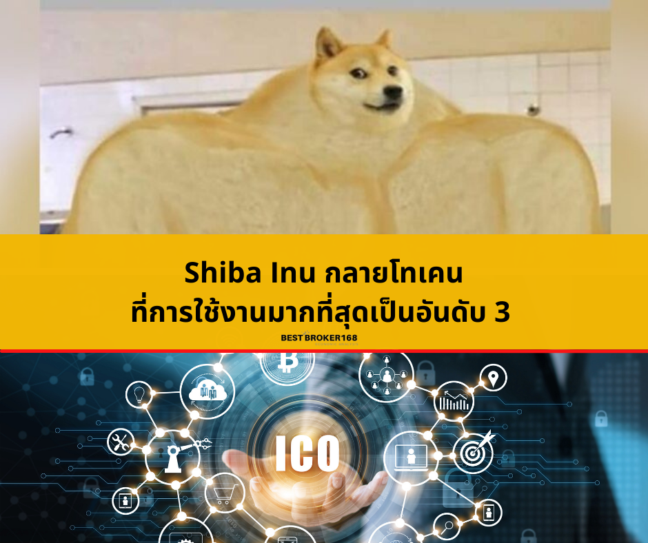 Shiba Inu กลายโทเคนที่การใช้งานมากที่สุดเป็นอันดับ 3 บนเครือข่าย Ethereum