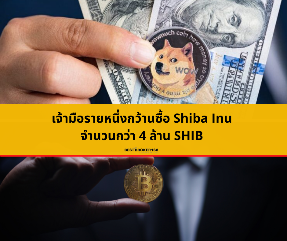 เจ้ามือรายหนึ่งกว้านซื้อ Shiba Inu จำนวนกว่า 4 ล้าน SHIB