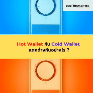 Hot Wallet กับ Cold Wallet แตกต่างกันอย่างไร