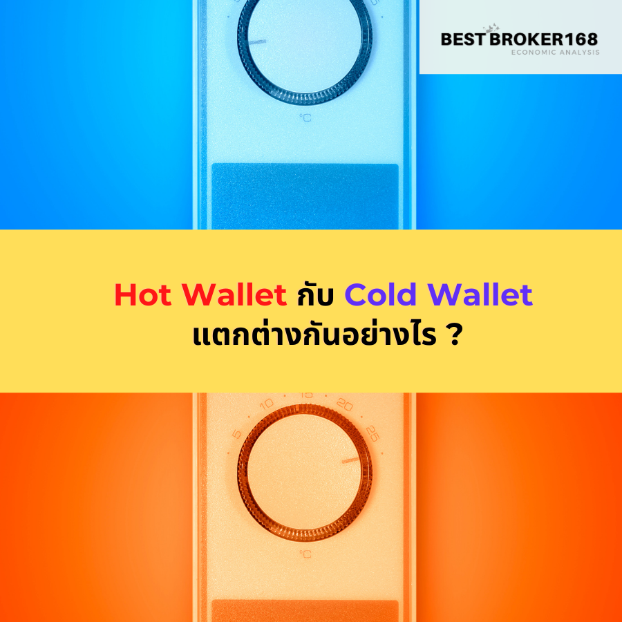 Hot Wallet กับ Cold Wallet แตกต่างกันอย่างไร