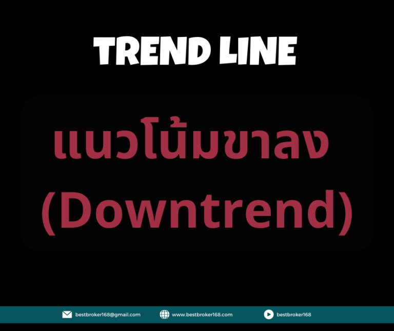เทรนไลน์ 8