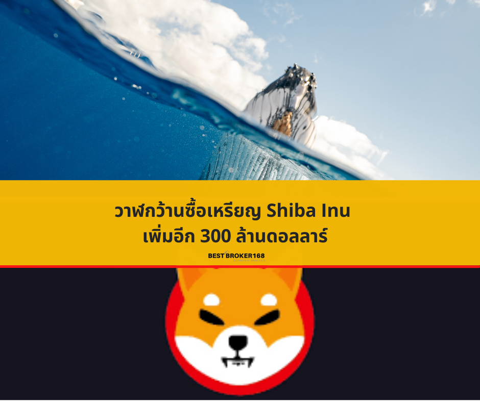 วาฬกว้านซื้อเหรียญ Shiba Inu เพิ่มอีก 300 ล้านดอลลาร์