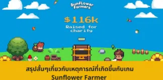 สรุปสั้นๆเกี่ยวกับเหตุการณ์ที่เกิดขึ้นกับเกม Sunflower Farmer
