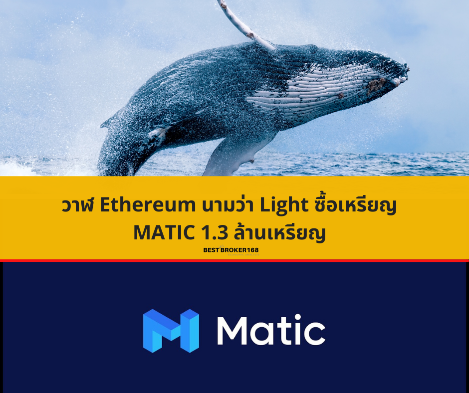 วาฬ Ethereum นามว่า Light ซื้อเหรียญ MATIC 1.3 ล้านเหรียญ