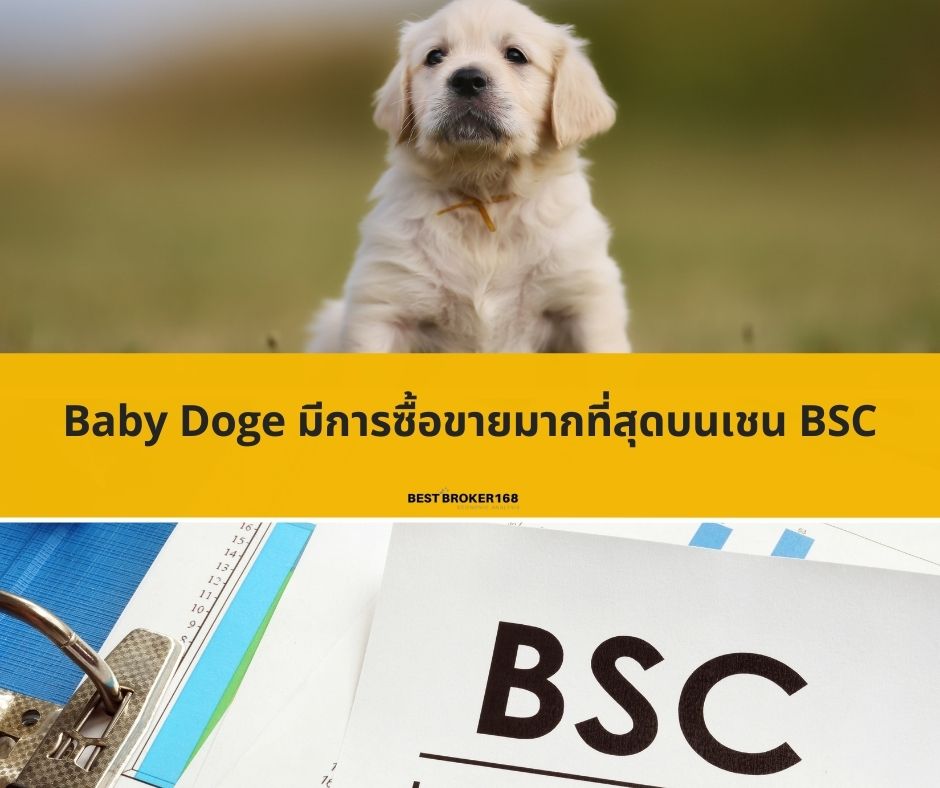 Baby Doge มีการซื้อขายมากที่สุดบนเชน BSC