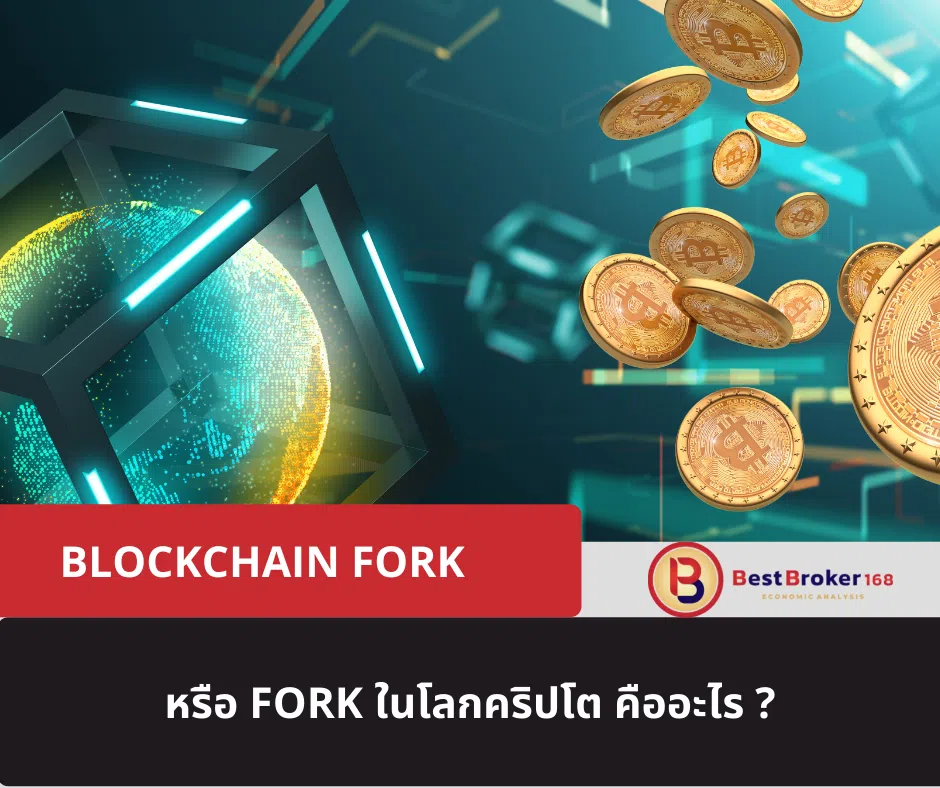 Blockchain Fork หรือ Fork ในโลกคริปโต คืออะไร