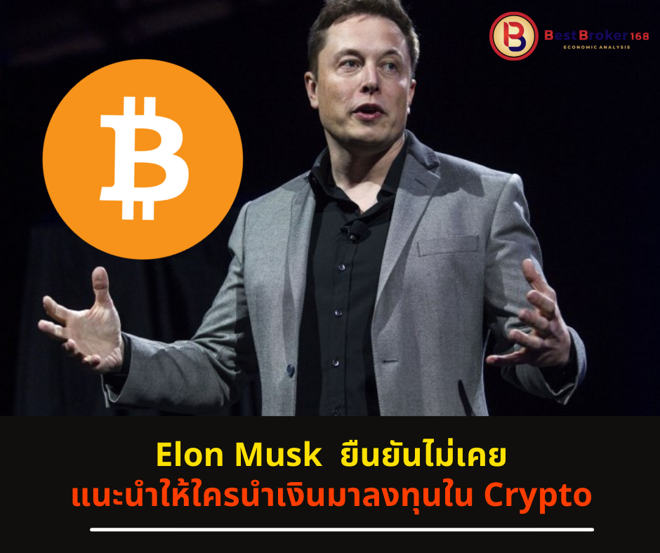 Elon Musk ยืนยันไม่เคยแนะนำให้ใครนำเงินมาลงทุนใน Crypto