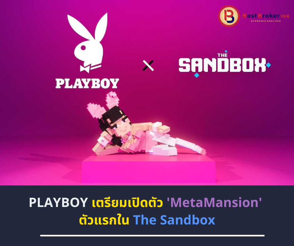 Playboy เตรียมเปิดตัว 'MetaMansion' ตัวแรกใน The Sandbox