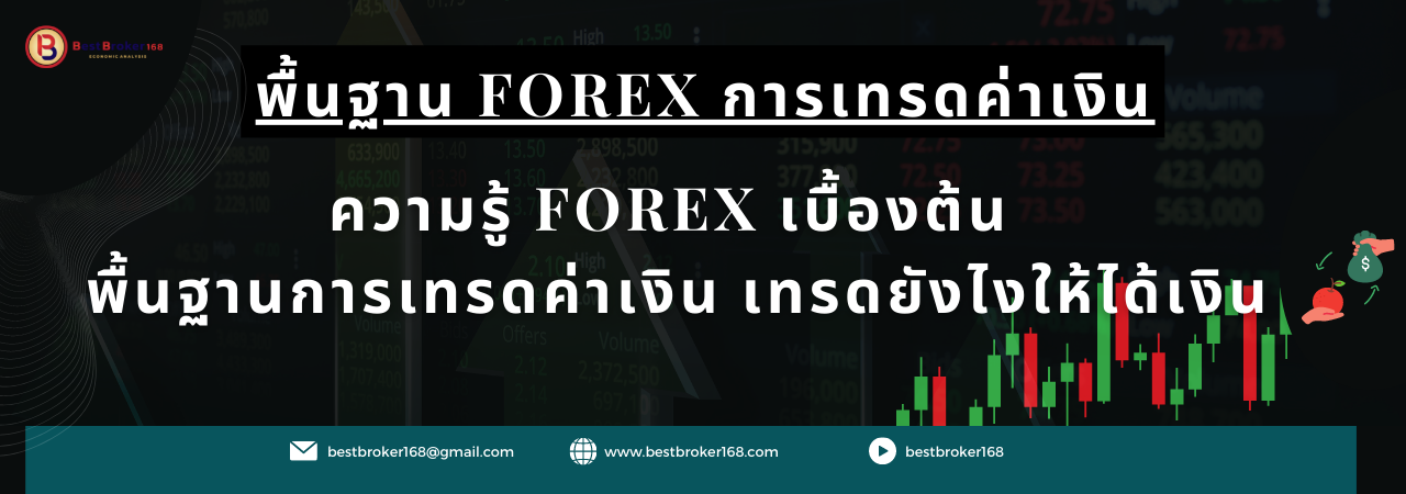 Forex เบื้องต้น พื้นฐาน Forex การเทรดค่าเงิน_ มีวิธีดูอย่างไร