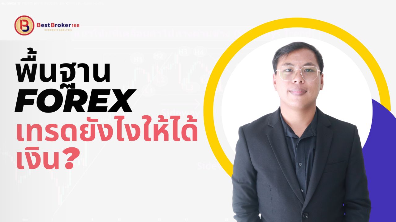 สอนเทรดพื้นฐาน Forex ฟรี พื้นฐาน Forex ล่าสุดปี 2023 (1)